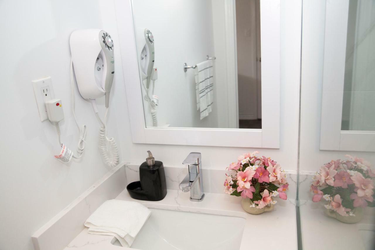 Вілла Cozy 3Br 2Bth Lower Unit, A Min To Hwy401, 404 & Dvp Торонто Екстер'єр фото
